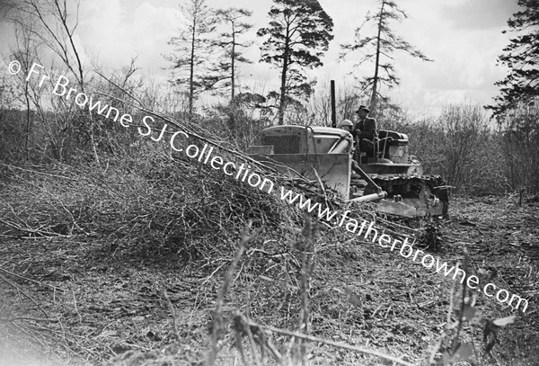 BULLDOZER  CLEARING SCRUB AND TREES